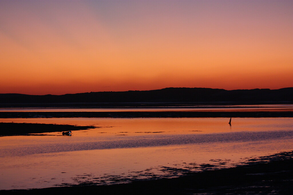 Alla spiaggia dopo che il sole è tramontato