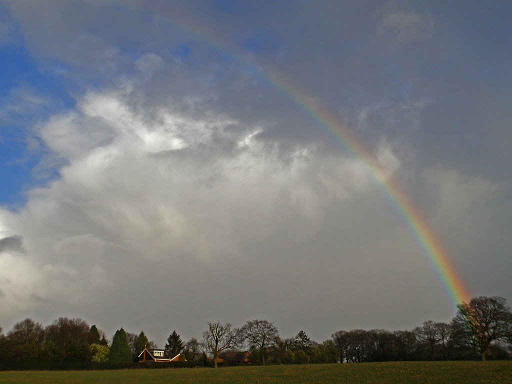 Arcobaleno che parte dal boschetto verso cielo in schiarita