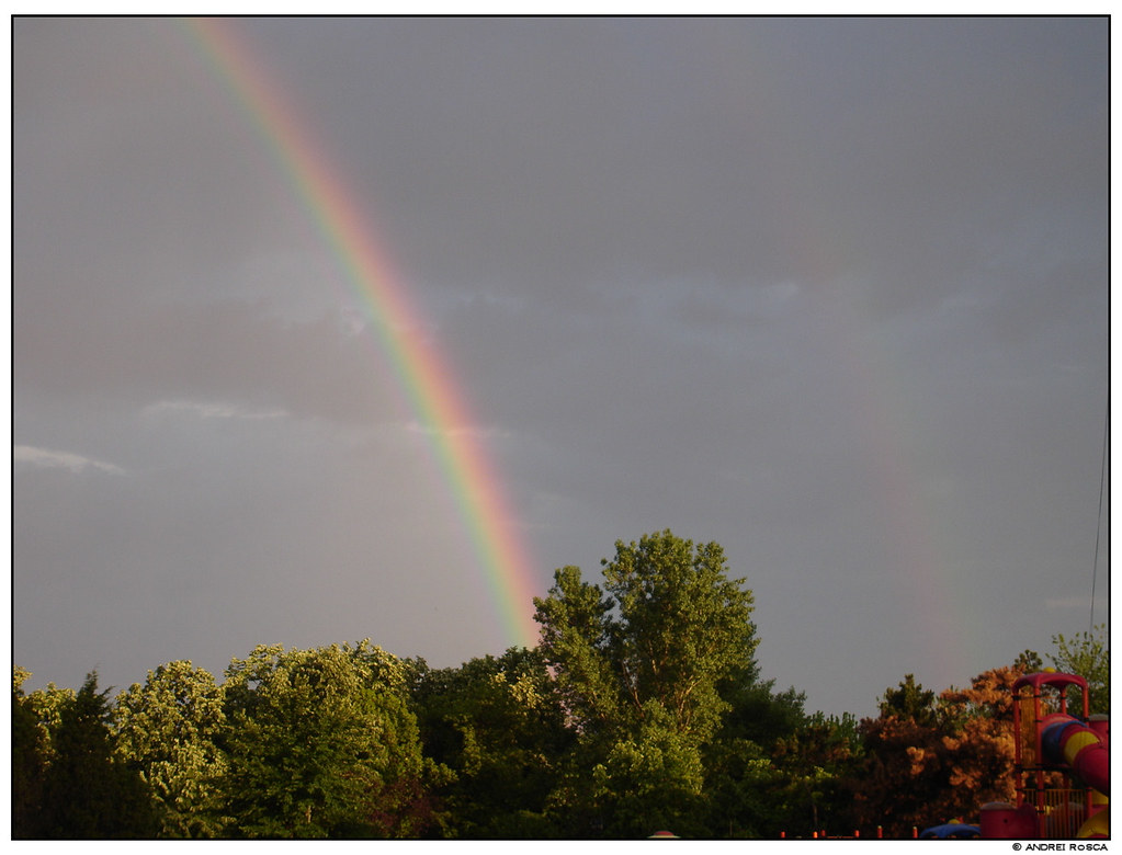 Arcobaleno che si innalza da albero con piccolo doppio