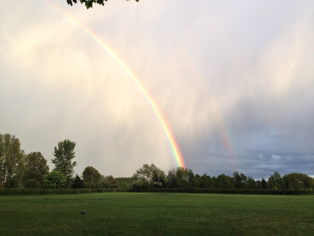 Arcobaleno che sovrasta alberi di parco ben tenuto