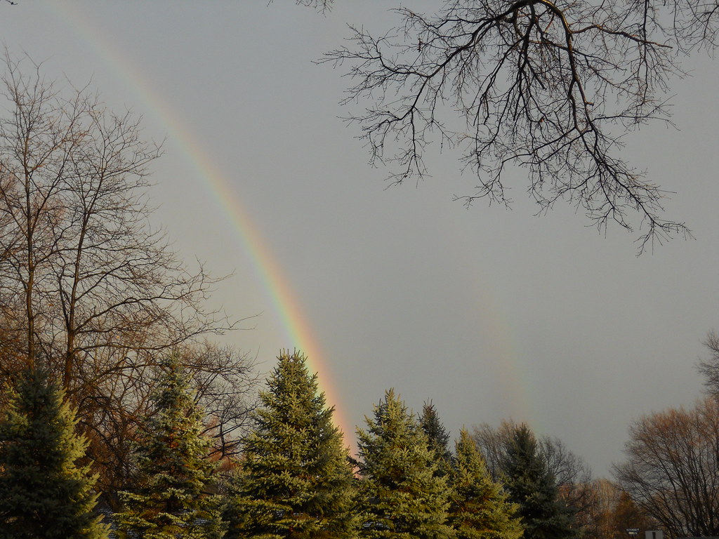 Arcobaleno con piccolo doppio che cade nel bosco