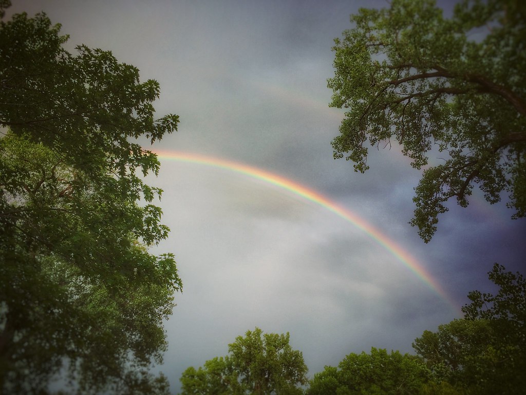 Arcobaleno con piccolo doppio sopra chiome di alberi