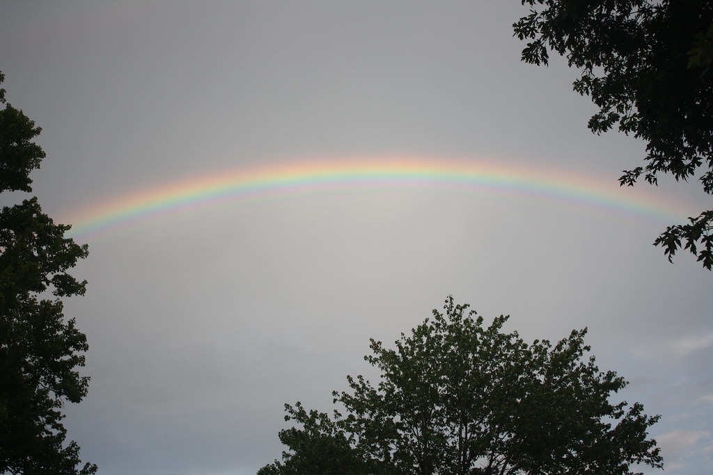 Arcobaleno incastrato tra alberi