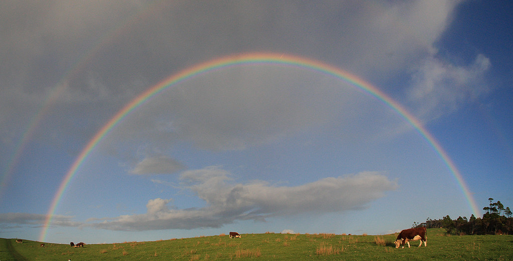 Arcobaleno si prato che infonde serenità