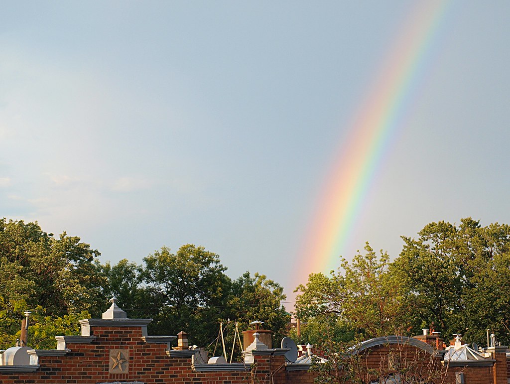 Arcobaleno sopra alberi di giardino di bella struttura