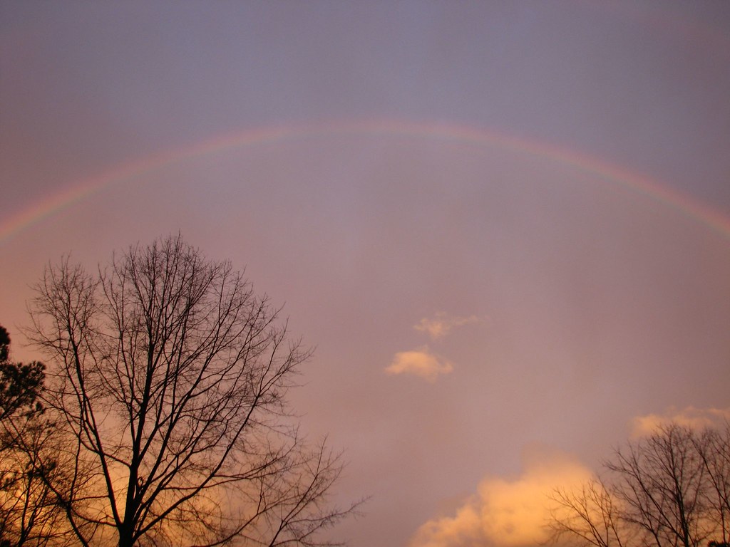 Arcobaleno sottile in paesaggio scuro con alberi secchi