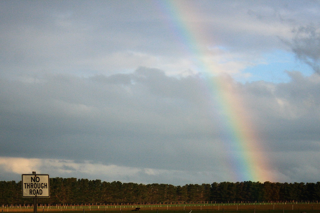 Arcobaleno tenue che sembra fendere una foresta