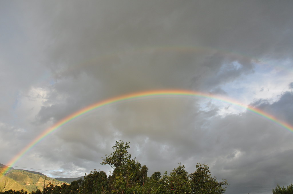 Arcobaleno tra nuvole sopra chiome di alberi