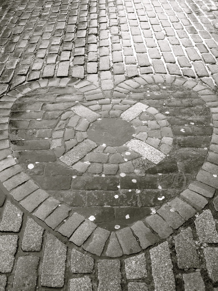 Bel cuore di pietra su pavimentazione a edimburgo