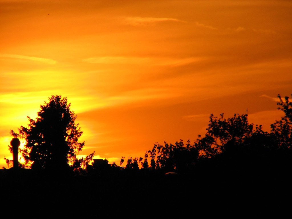 Cielo arancione oltre gli alberi che nascondono il sole