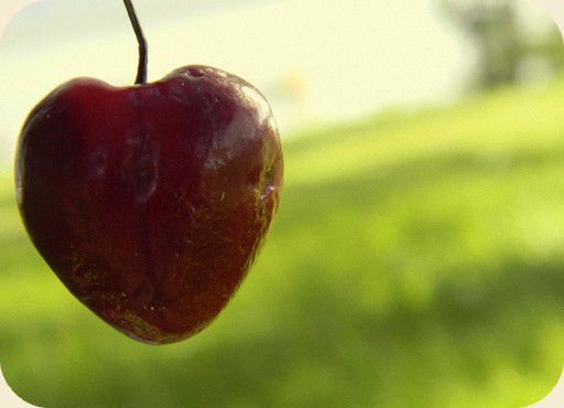 Ciliegia a forma di cuore