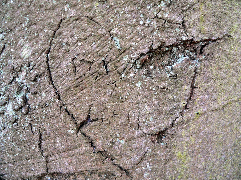 Cuore dai contorni sottili inciso su legno