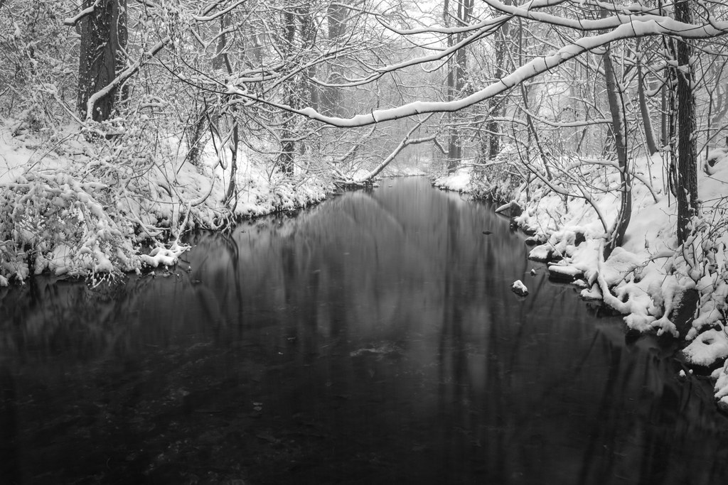 Desolato paesaggio invernale con fiume e alberi