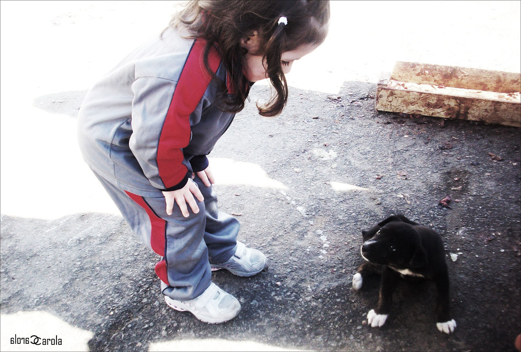 Dolce bambina che si rivolge con amore ad un tenero cucciolo