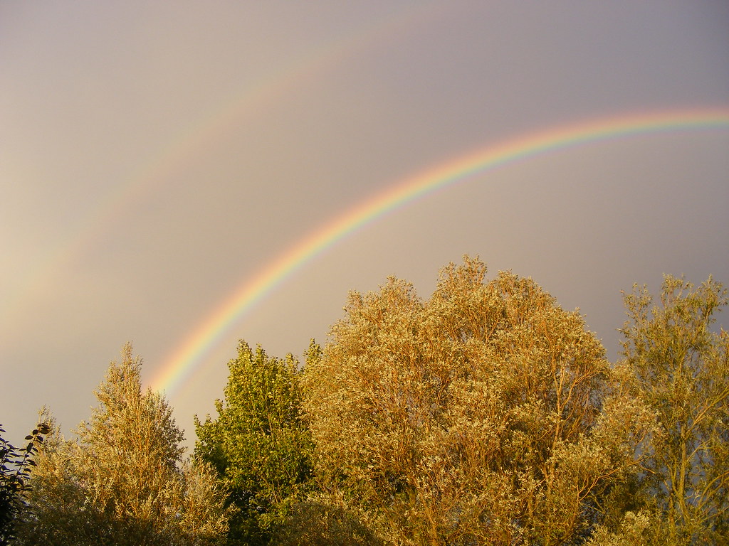 Doppio arcobaleno che illumina cielo e alberi