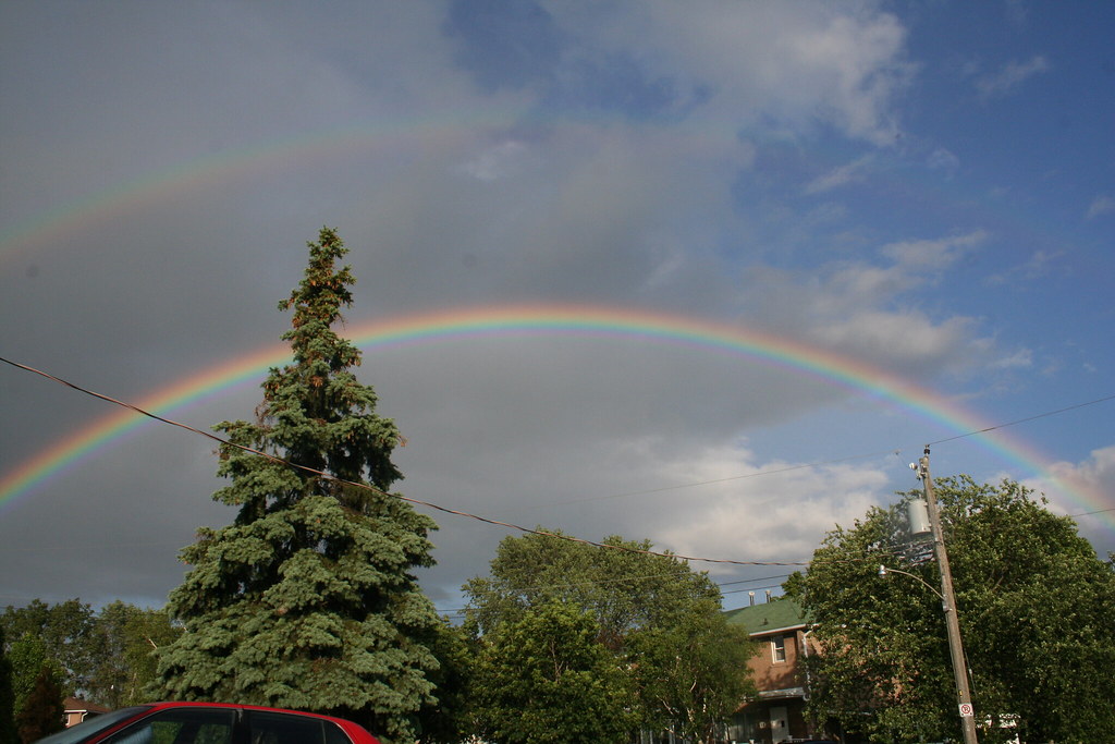 Doppio arcobaleno che sovrasta alberi e case dietro di essi