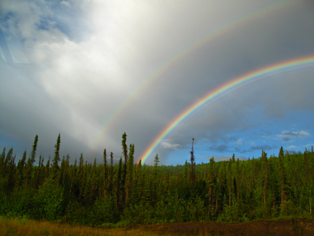 Doppio arcobaleno sopra vegetazione folta con piante alte