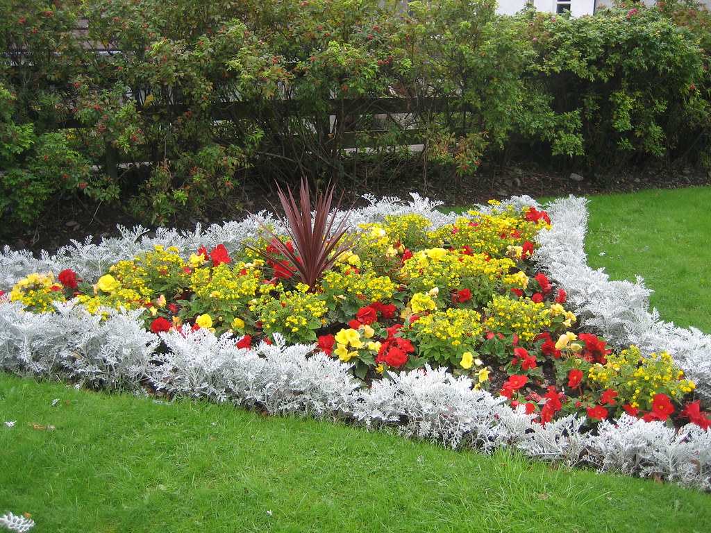 Fiori di giardino rossi e gialli