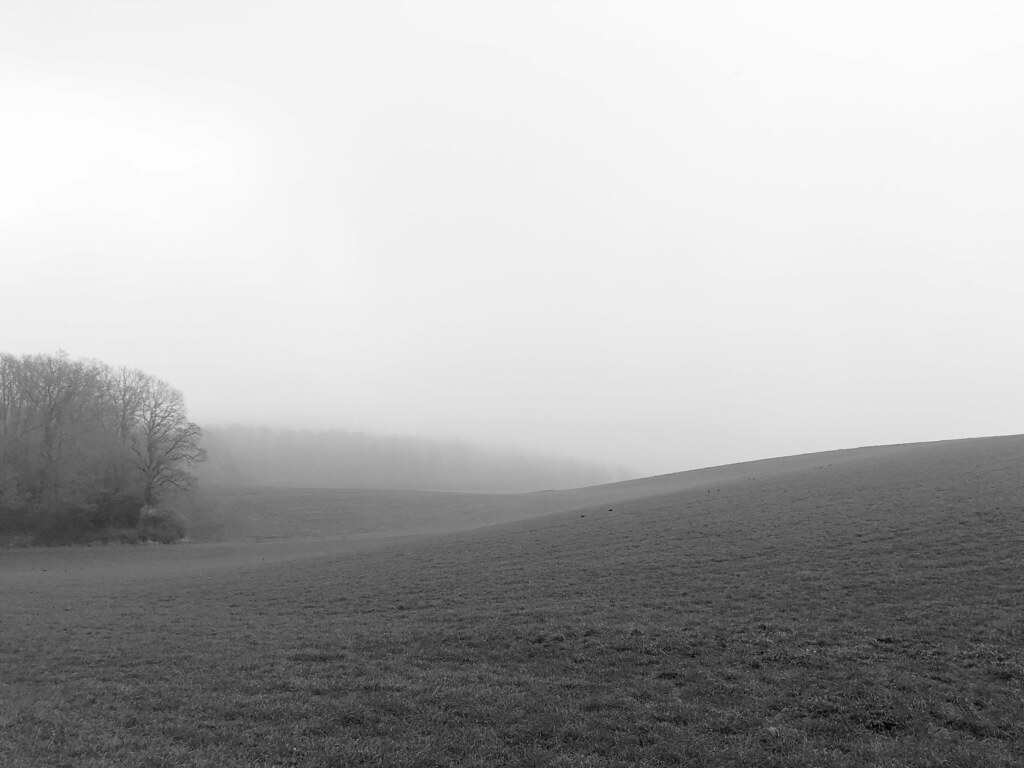 Paesaggio desolato e arido con nebbia che rende tristi