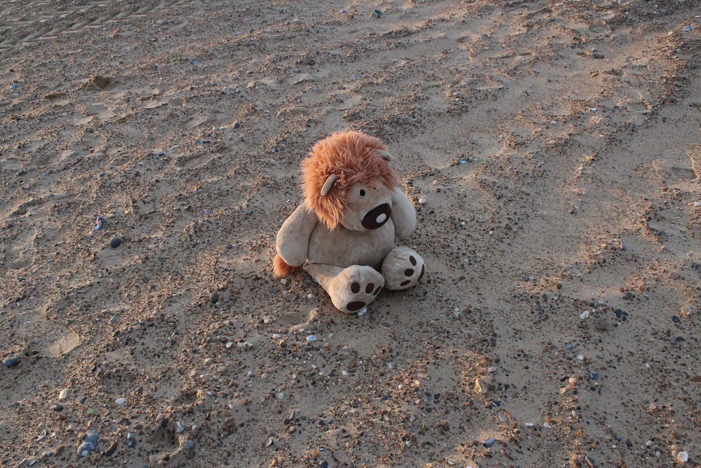 Peluche in completa solitudine sulla spiaggia