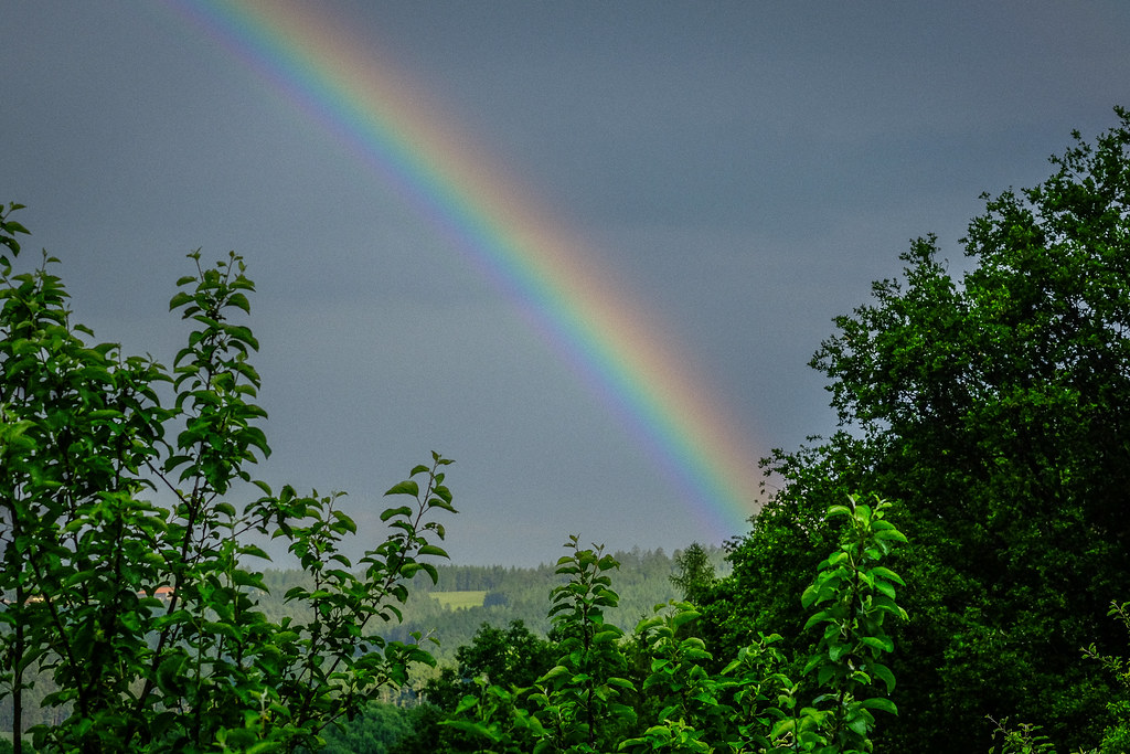 Porzione di arcobaleno che nasce dal verde degli alberi