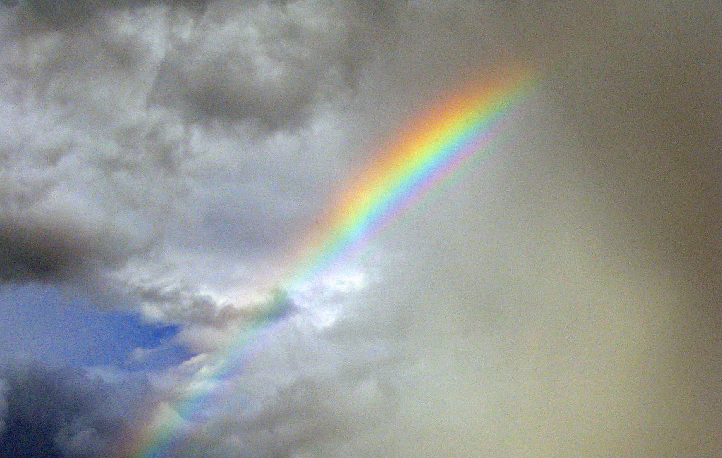 Sette colori nel grigio