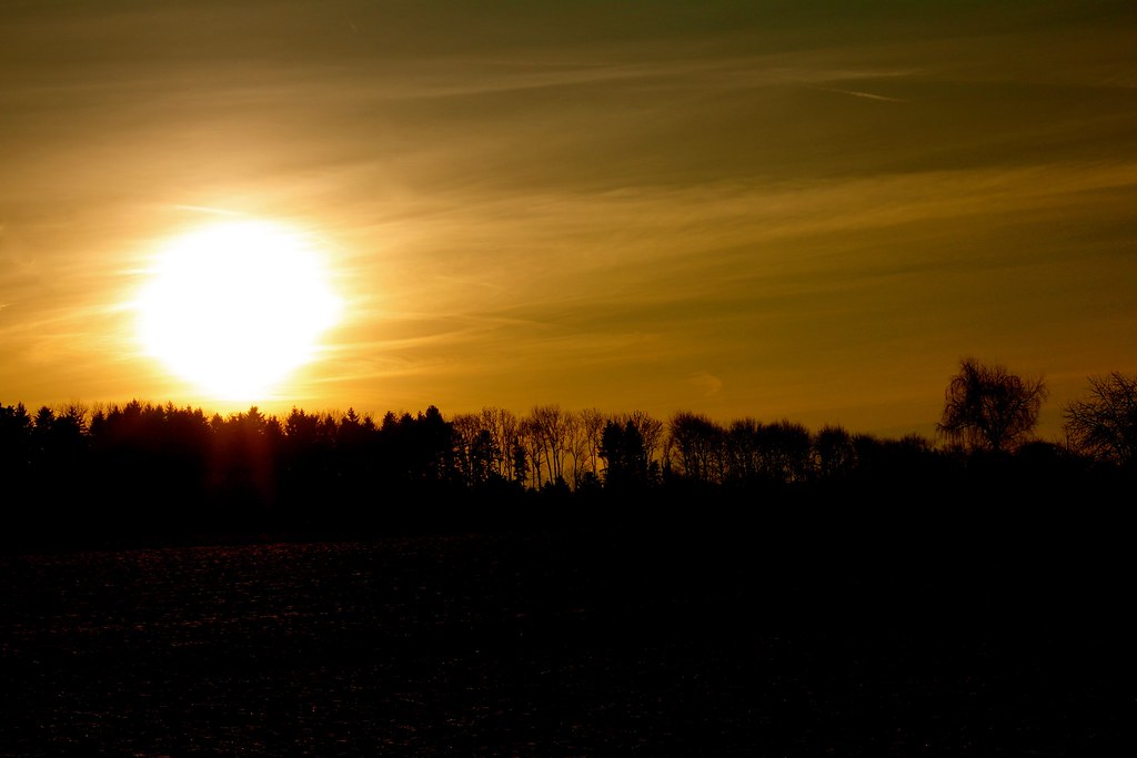 Sole grande al tramonto sulla vegetazione