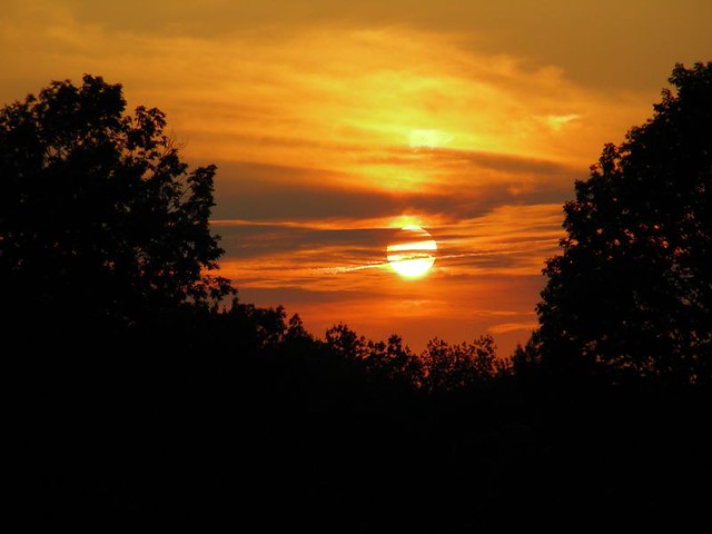 Sole incastonato tra gli alberi al tramonto