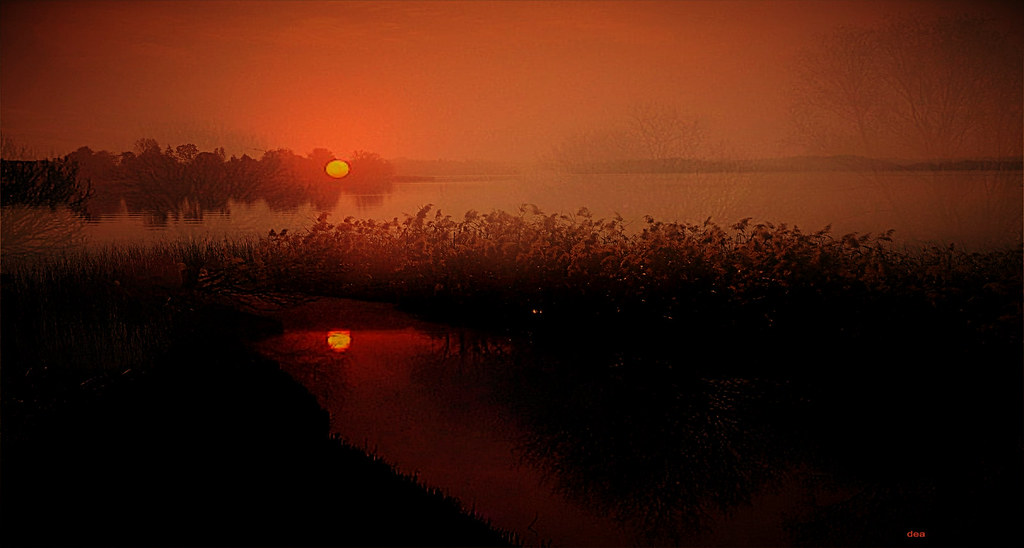 Tramonto romantico su stagno e pozzanghera