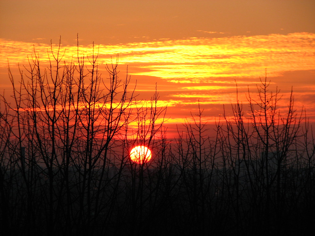 Tramonto tra vegetazione rinsecchita