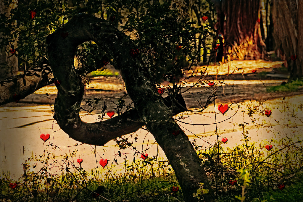 Tronco di albero piegato a cuore tra fiorellini rossi come cuoricini