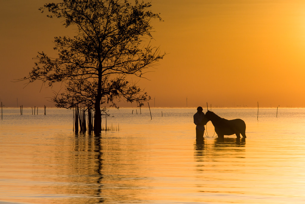 Uomo e cavallo nel guado in un magico momento