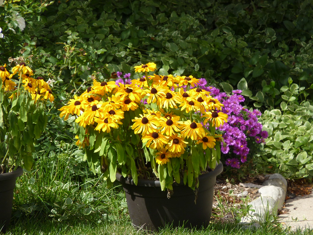 Vaso di fiori di campo molto pittoresco