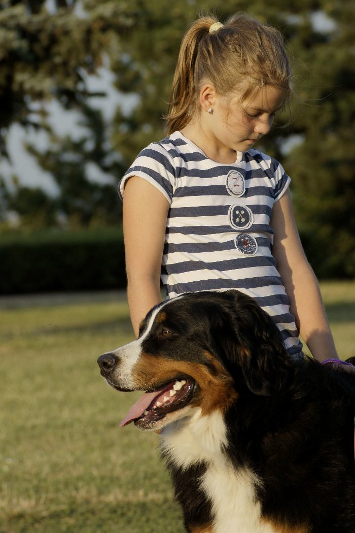 amicizia tra bambina e cane