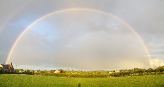 Arcobaleno su bellissimo prato verde chiaro