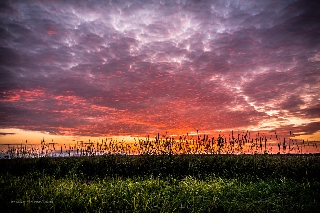 Bellissimo paesaggio rurale al tramonto