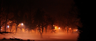 Paesaggio triste per la nebbia fitta