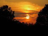 Sole incastonato tra gli alberi al tramonto